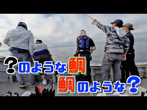 【真鯛】鯛か？違います！ホントに鯛じゃないの？違います！鯛でしょ？違います●●です