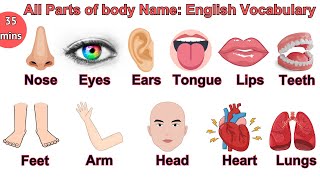 Parts of the Body in English | Parts of Body Name with Pictures | #bodyparts #englishvocabulary