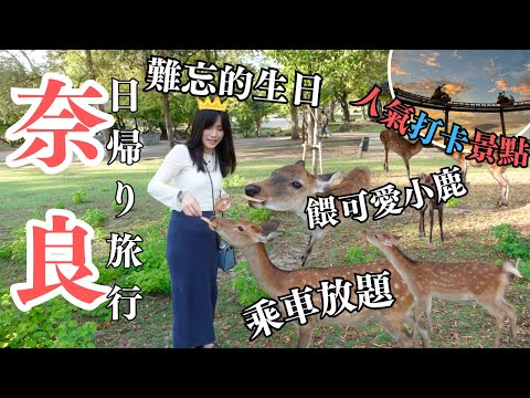 【奈良一日遊vlog】生駒山上遊樂園｜浪漫空中單車｜東大寺餵小鹿｜近鐵電車周遊劵1日劵放題｜LHCouple #廣東話