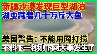 新疆沙漠发现巨型湖泊，湖中藏着几十万斤大鱼，美国警告：不能用网打捞！不料下一秒刚下网大事发生了！