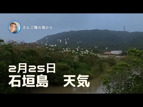 【石垣島天気】2月25日8時ごろ。15秒でわかる今日の石垣島の様子。