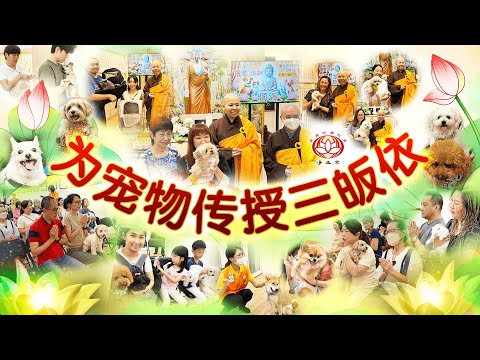 为宠物传授三皈依 Pets Refuge Ceremony｜数十只宠物在新加坡弥陀寺皈依｜净平法师开示｜净平法师、净本法师传授皈依｜2024/10/31｜净土宗 Pure Land Buddhism