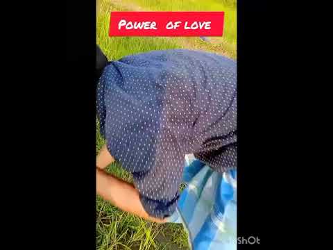 power of love wait till end #viral #youtube #short video #