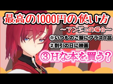 いつも通り、男目線すぎるHな本への熱意【アンジュ・カトリーナ/にじさんじ】《雑談》