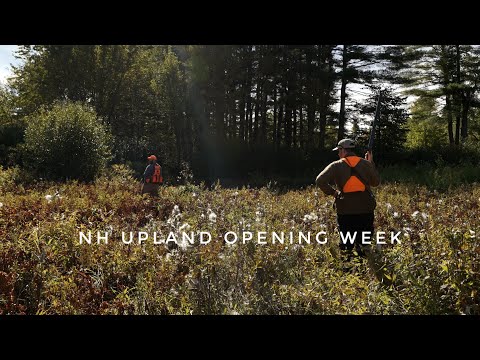 New England Upland Hunting Opening Week