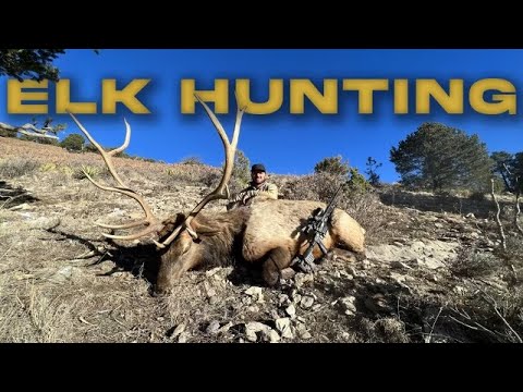 ELK HUNTING 3 BULLS 3 DAYS | A Late Season Rifle Hunt