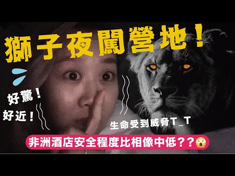 坦桑尼亞篇🦁獅子夜晚闖進營地？😱媽媽直接嚇到扮睡！｜終於見到最想見的動物😍｜ Knetawong🍐【怒母遊🔥】