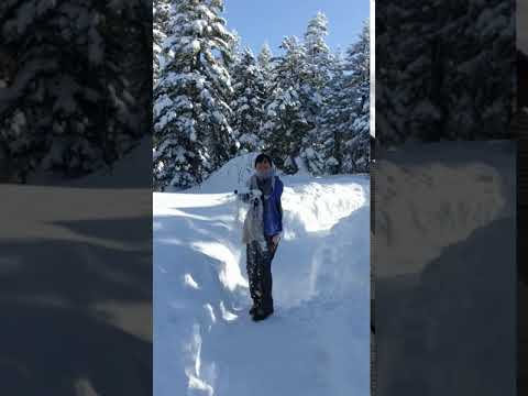 飛驒高山 賞雪