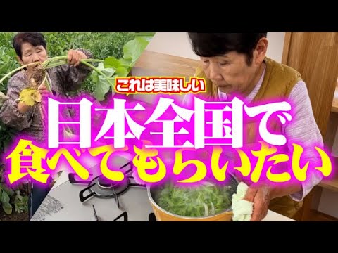 【食べるとやみつき】【茎を食べる葉ゴボウ】新しいキッチンで葉ゴボウを調理【若ごぼう】【葉ごぼう】