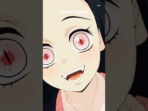 nezuko x zenitsu😂😍❤️[official amv version music] #demonslayer  #nezukoxzenitsu #demonslayer |#shorts