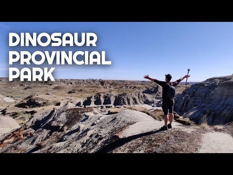 DIGGING FOR DINOSAUR | Dinosaur Provincial Park Alberta | Centrosaurus Bonebed Hike | Van Life