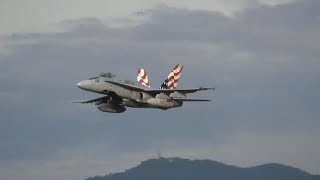 【岐阜基地航空祭2024】レガシーホーネット帰投！