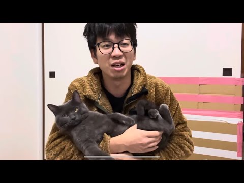 子猫定点配信