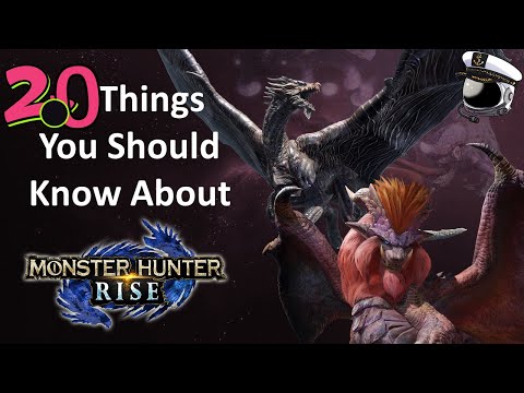 Rise's 2.0 Update in 2 Minutes or Less - Monster Hunter Rise