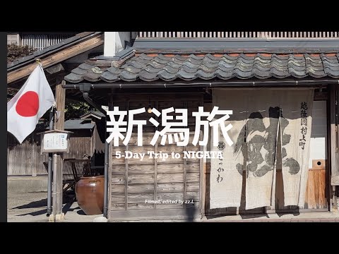 【 #新潟旅 Vlog / 中篇 】緩緩駛過綿延稻田來到鮭魚料理故鄉 🐟 日本海旁小展望台、市區小山丘上的限量鬆餅 🥞 村上茶無敵好喝、讓人暖心的在地精釀啤酒餐廳｜DAY3 & DAY 4