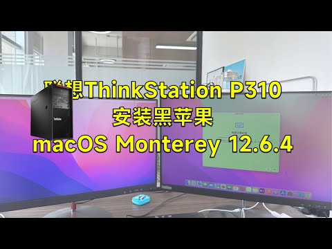 ThinkStation P310(30ASS14S00) E3-1230 v5 HACKINTOSH EFI OC 0.9.0 Monterey 12.6.4