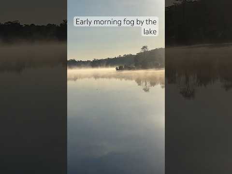 PEACEFUL MORNING BY THE LAKE #lake #travel #nature #naturelovers #relaxing #music #phototgraphy