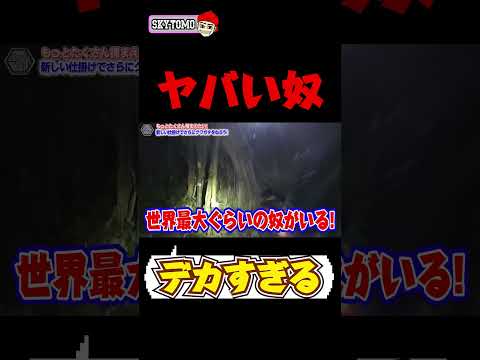 【沖縄攻殻機動隊】新しい仕掛けでクワガタを捕まえに来たはずが最大サイズのヤシガニ捕まえました