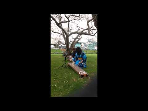 Itoguruma - Hanami 2015