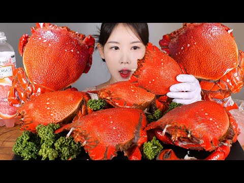 이런 게는 처음이야🦀 스패너 크랩 (닭게, 장군게) 먹방 Spanner Crab [eating show] mukbang korean food