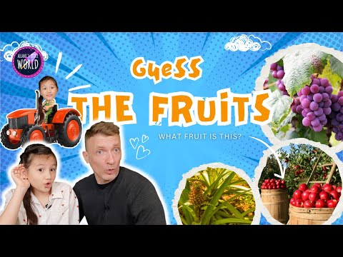 Guess the Fruit with Ailani | Fun Way to Build Your Child's Vocabulary | Ailani's Little World