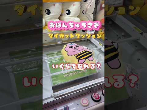 大手ゲーセンだとおぱんちゅうさぎ ダイカットクッション いくらでとれる？#ufoキャッチャー #クレーンゲーム #인형뽑기 #오락실 #娃娃机