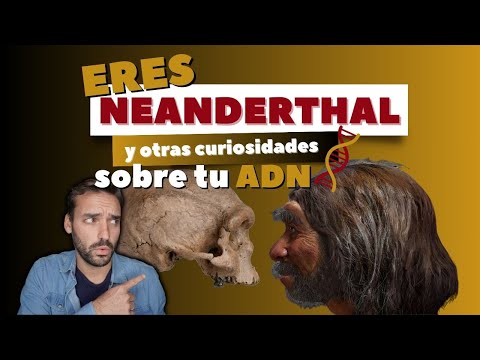 ERES NEANDERTHAL y otras curiosidades sobre tu ADN 🧬