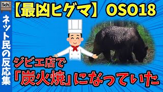 【最凶ヒグマ】OSO18東京のジビエ店で「炭火焼」になっていた 【ニュース2ch反応まったり実況】