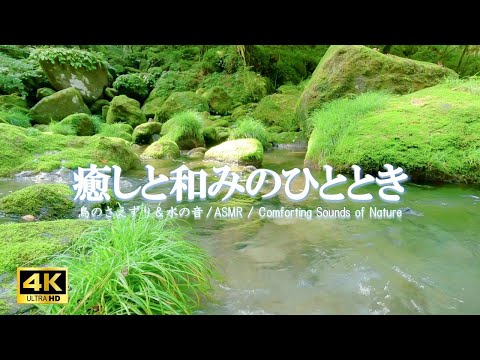 癒しと和みのひととき：リラクゼーション、自律神経を整える【ASMR 4K】