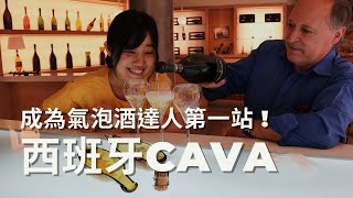 成為氣泡酒達人第一站，跟著當地人道地喝Cava ! 搭配西班牙美食，與莊主桶邊試飲奇妙風味