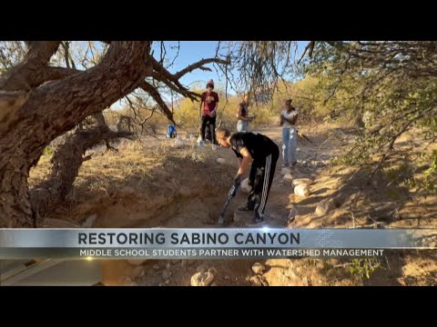 Students work to restore parts of Sabino Canyon