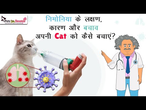 बिल्लियों में निमोनिया Symptoms, Causes & Treatment  कैसे पहचानें और बचाव करें Pneumonia in Cats 🐱