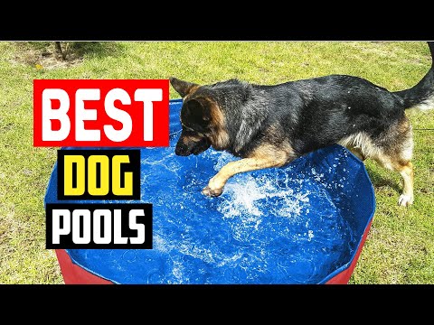 ✅ Top 5 Best Dog Pools in 2023