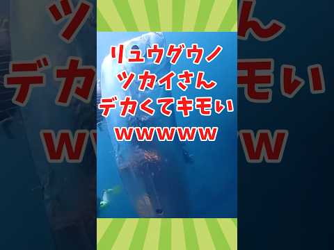 水生生物の動画見て癒されたら寝ろwww　#2ch動物スレ #動物 #shorts #2ch