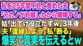 私を不妊と決めつけた夫が勝手に離婚届を提出「元カノが妊娠したから、お前とは離婚だｗ」→3年後、再会したボロボロの夫「復縁しよう」私「無理よ。だって…」実はｗ【スカッとする話】