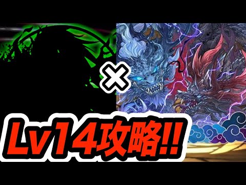 5月のクエダンLv14をグランエルヴで攻略！サブであのキャラが大活躍！！！【パズドラ】