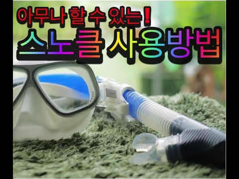 [오키나와 다이빙]  다이빙장비 설명 "스노클 사용법 "핑크머에이드