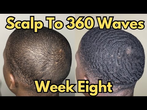 Scalp To 360 Waves - Week 8