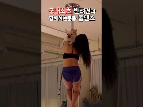 반려견과 함께하는 폴댄스🐶 #국내최초 #반려견 #폴타혼타스