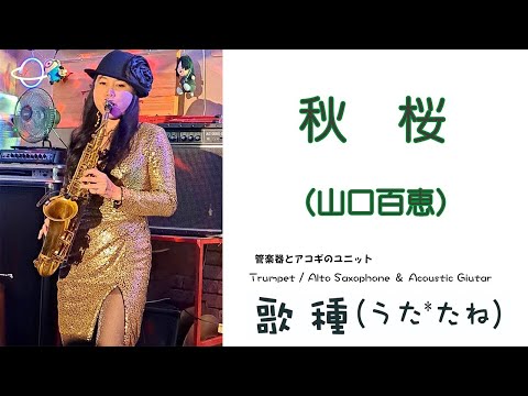 【ベンチャーズハウス六絃】”秋桜（山口百恵）" Cover by Alto Saxophone / Trumpet & Acoustic Guitar