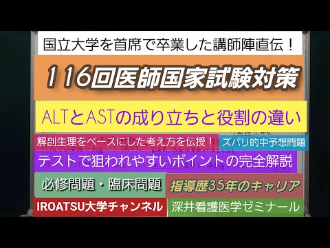 24年の実績[116回医師国家試験対策]予想問題－ALT ・ASTの違い－深井看護医学ゼミナール・深井カウンセリングルーム・深井進学公務員ゼミナール・深井ITゼミナール