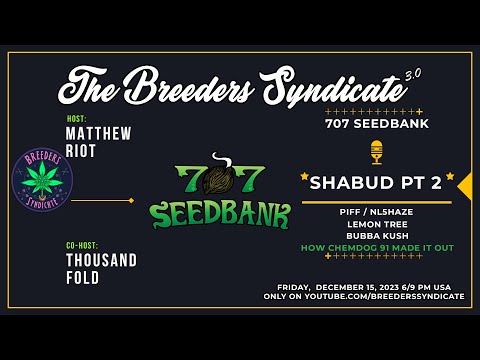 ShaBud aka 707 Seedbank pt 2 Chemdog Bubba Kush Piff NL5 Haze Lemon Tree S10 SE02