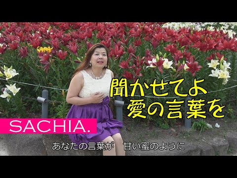 聞かせてよ愛の言葉を　ソプラノ歌手 SACHIA. さちあ