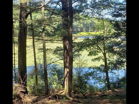 Peaked Trail Pond Loop In Monson Massachusetts