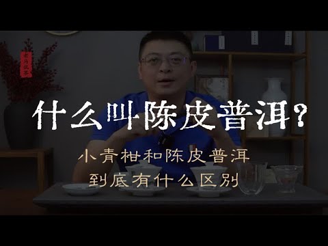 什么叫陈皮普洱？