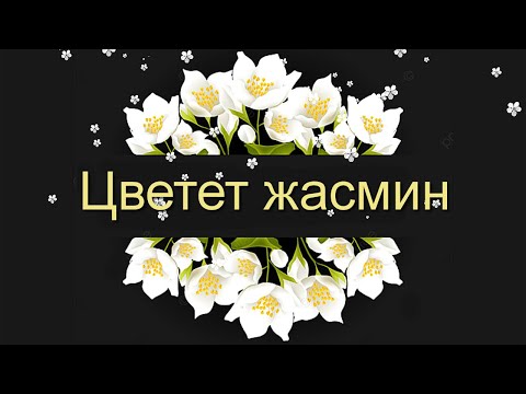 Цветет жасмин Переходы цветочные Жасмин Proshow Producer