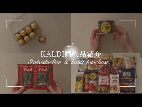 【KALDI】カルディ購入品2024冬｜定番人気商品〜季節限定商品まで計16点