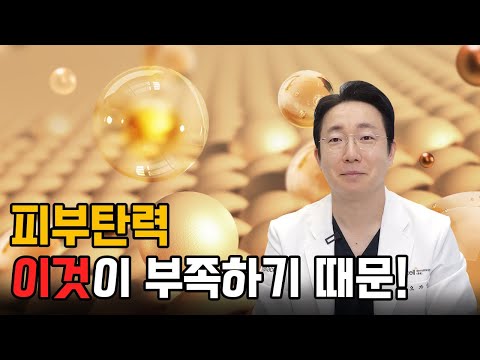 🙄 내 '피부탄력' 떨어지는 이유는!? │피부탄력