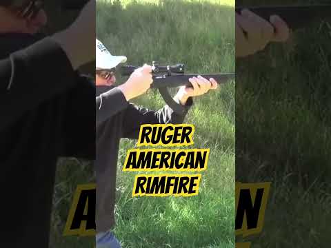 Ruger American Rimfire 22lr #ozziereviews #ruger #22wmr #22mag #17hmr #rimfire #plinking #shooting