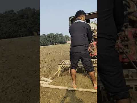 Village Life #shorts #village #villagelife #youtubeshorts #fun #vlog #viral #trending